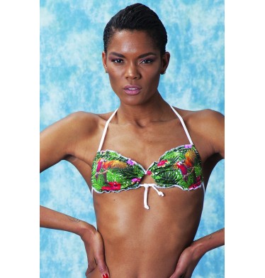 Parrot Top Frou Frou