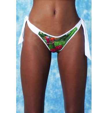 Parrot Dolly Parte Inferior